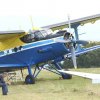 Antonow AN2 - Petra Mogg